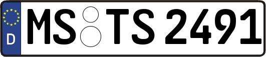 MS-TS2491