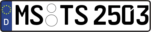 MS-TS2503