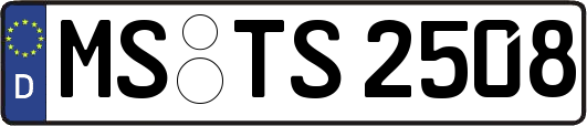 MS-TS2508