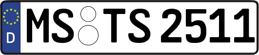 MS-TS2511