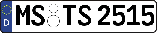 MS-TS2515