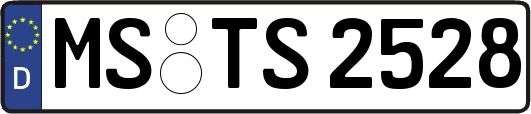MS-TS2528