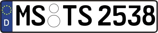 MS-TS2538