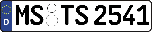 MS-TS2541