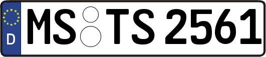 MS-TS2561