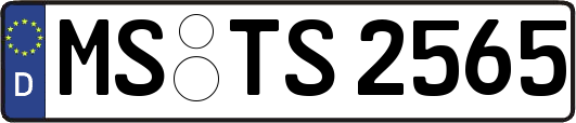 MS-TS2565