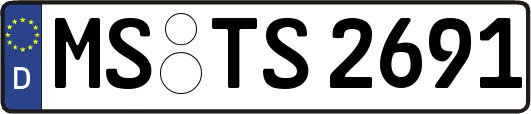 MS-TS2691