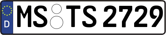 MS-TS2729