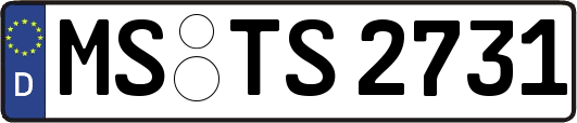 MS-TS2731