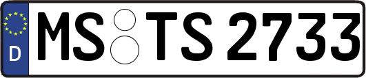 MS-TS2733