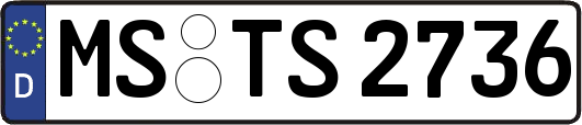 MS-TS2736