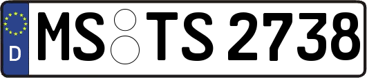 MS-TS2738