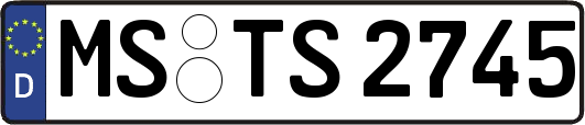 MS-TS2745