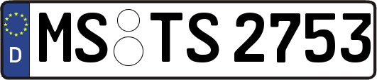 MS-TS2753