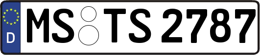 MS-TS2787