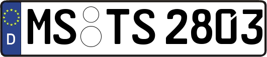 MS-TS2803