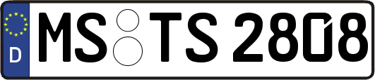 MS-TS2808
