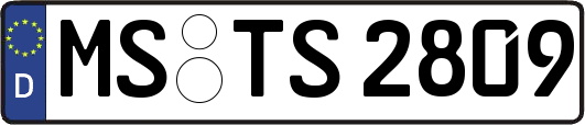 MS-TS2809