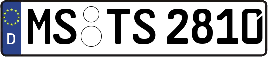 MS-TS2810