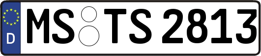 MS-TS2813