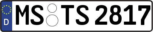 MS-TS2817