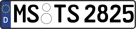 MS-TS2825