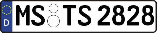 MS-TS2828