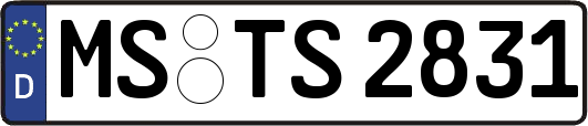 MS-TS2831