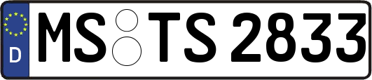 MS-TS2833