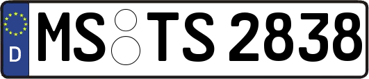 MS-TS2838
