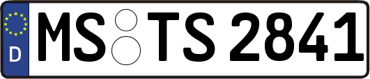 MS-TS2841