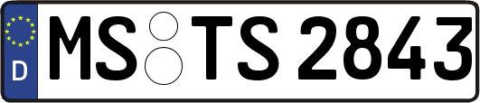MS-TS2843