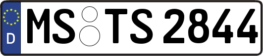 MS-TS2844