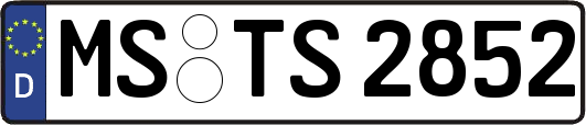 MS-TS2852