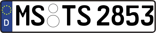 MS-TS2853