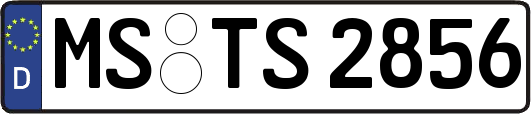 MS-TS2856
