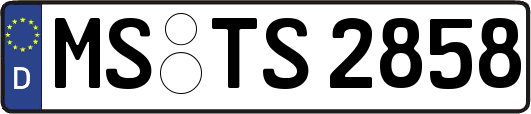 MS-TS2858