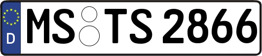 MS-TS2866