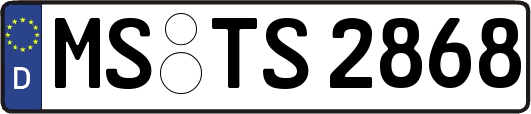 MS-TS2868