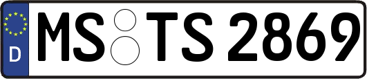 MS-TS2869