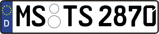 MS-TS2870
