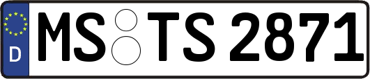 MS-TS2871