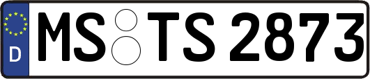 MS-TS2873