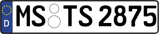 MS-TS2875