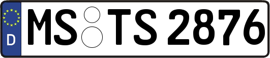 MS-TS2876