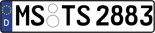 MS-TS2883