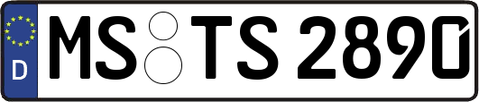 MS-TS2890