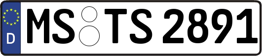 MS-TS2891