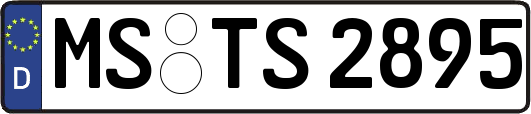 MS-TS2895