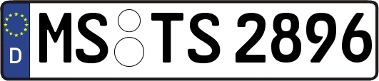 MS-TS2896